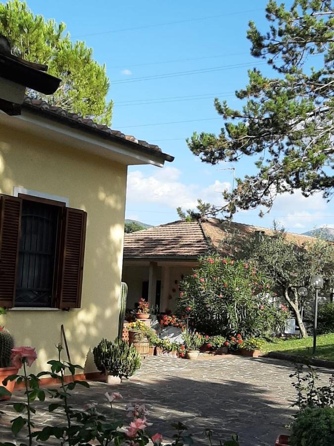 Valle Degli Ulivi Appartamento Apartment