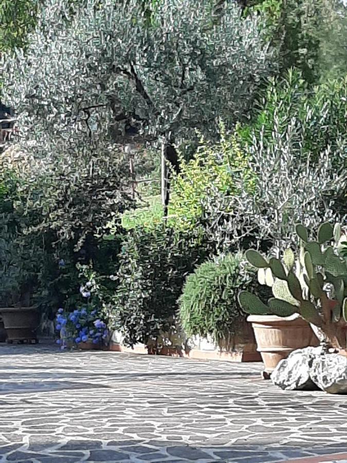 Apartment Valle Degli Ulivi Appartamento