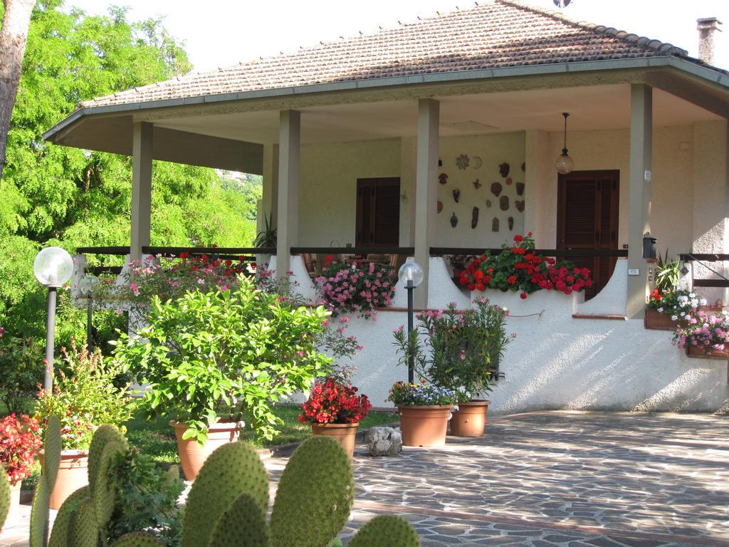 Valle Degli Ulivi Appartamento Apartment
