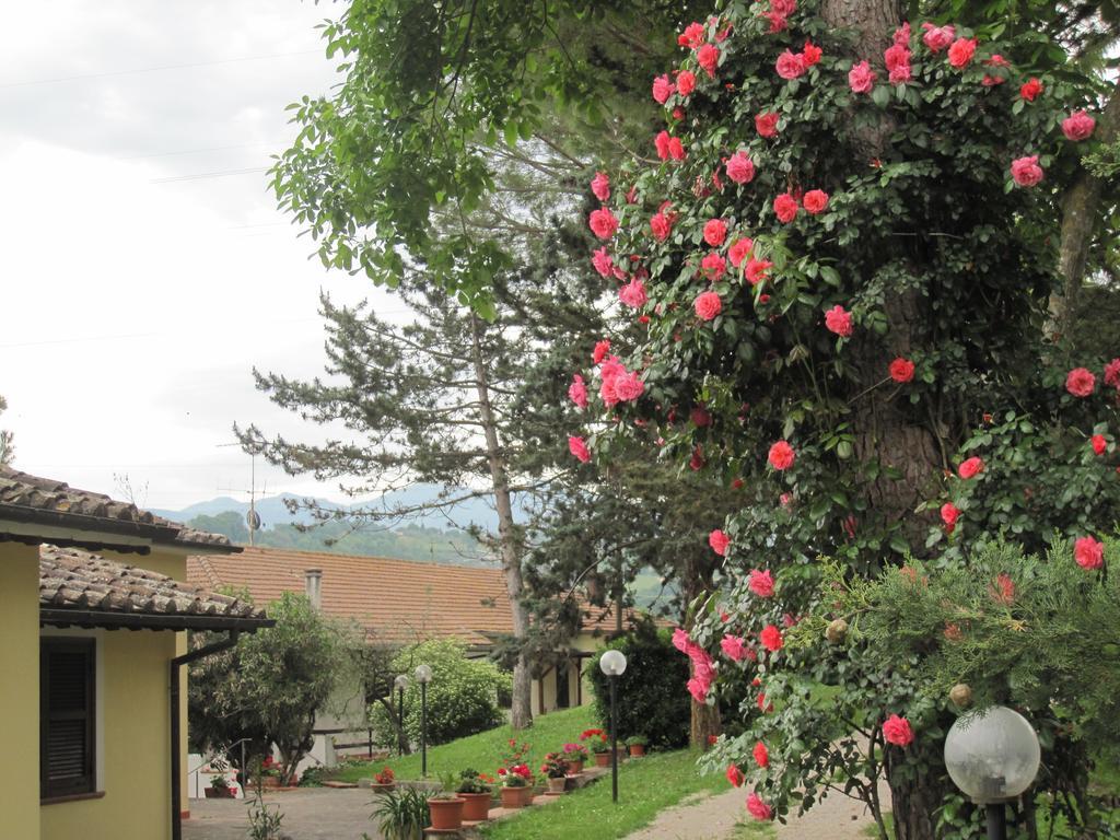Valle Degli Ulivi Appartamento *