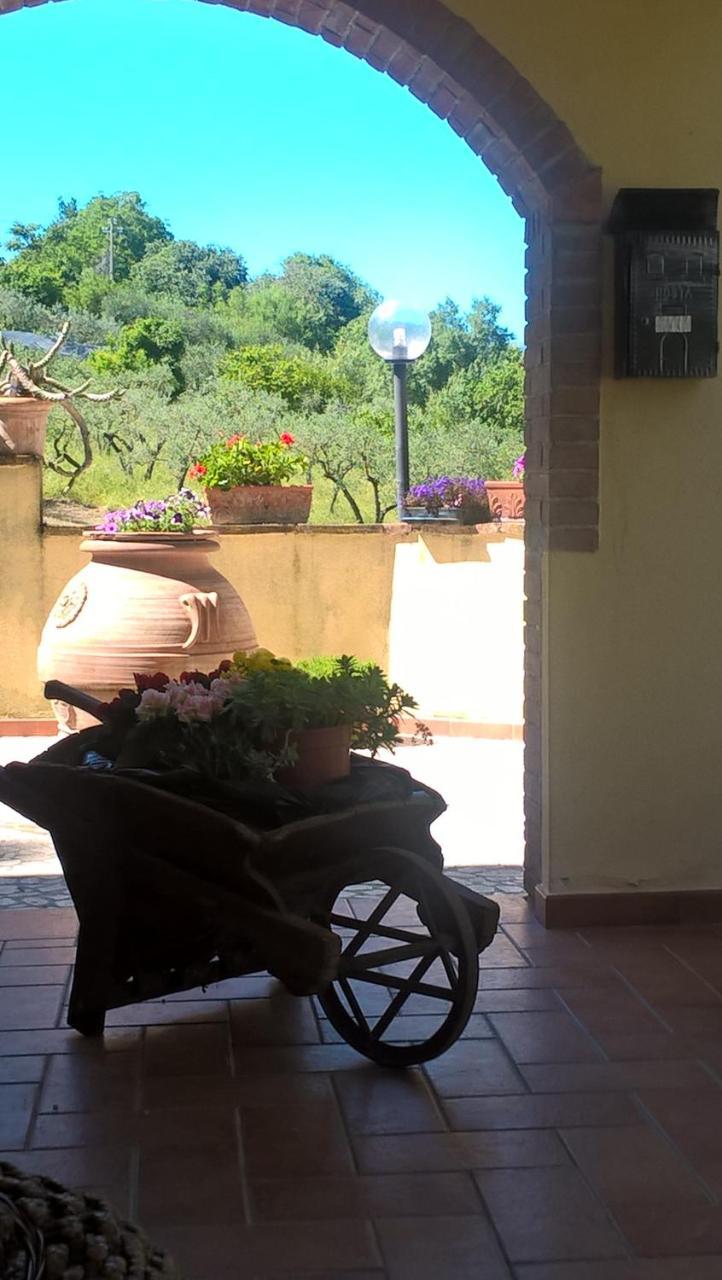 Valle Degli Ulivi Appartamento Apartment