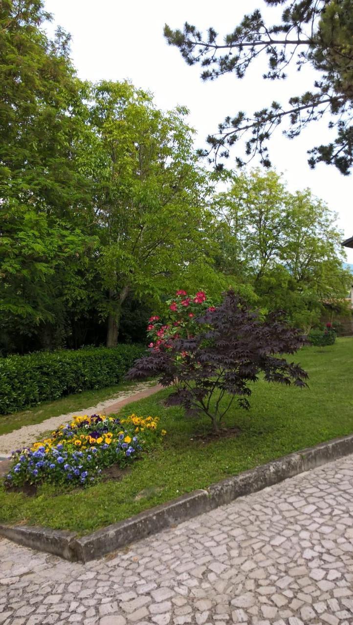 Valle Degli Ulivi Appartamento Apartment