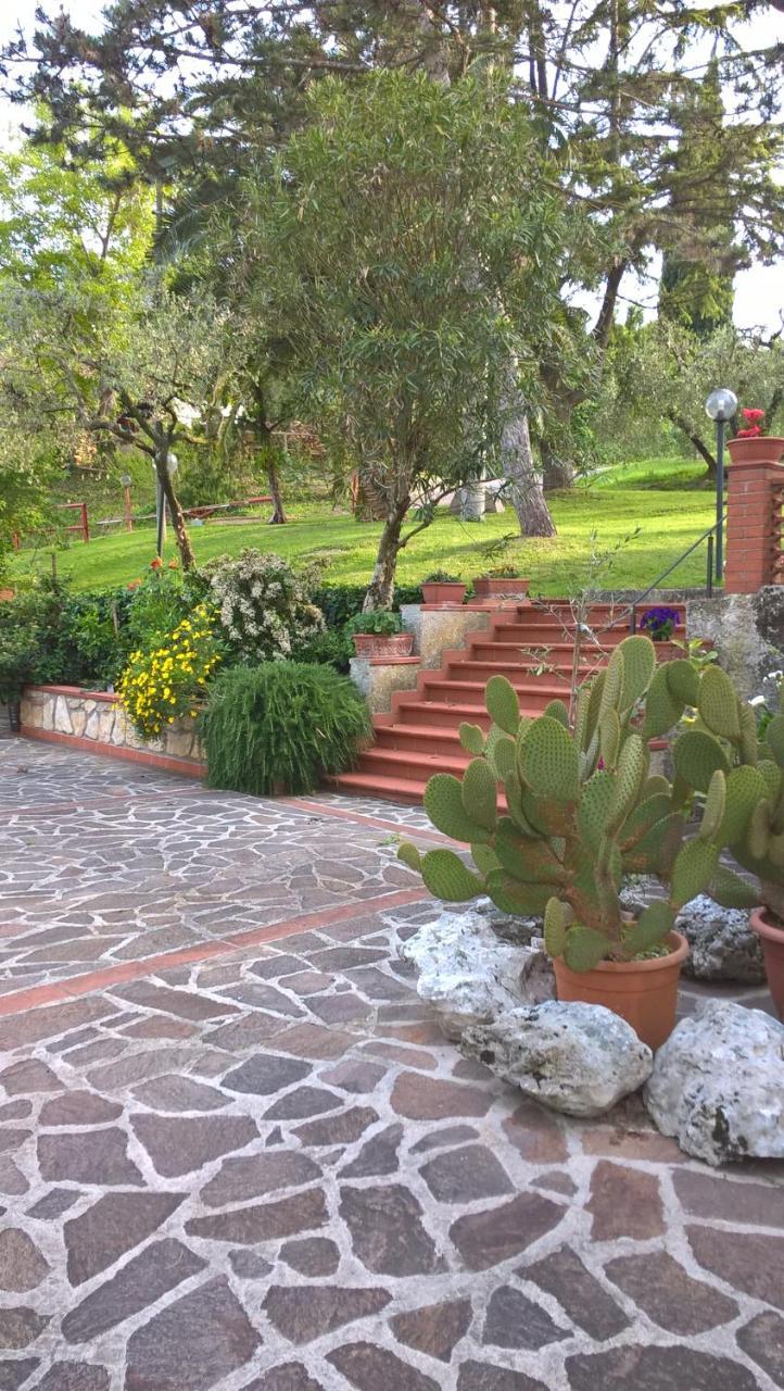 Valle Degli Ulivi Appartamento Apartment